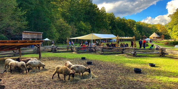 Fall Harvest Festival