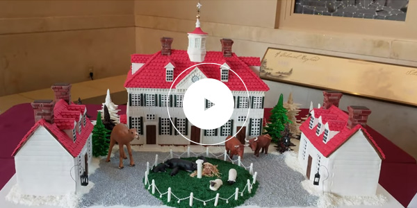 Gingerbread House Video