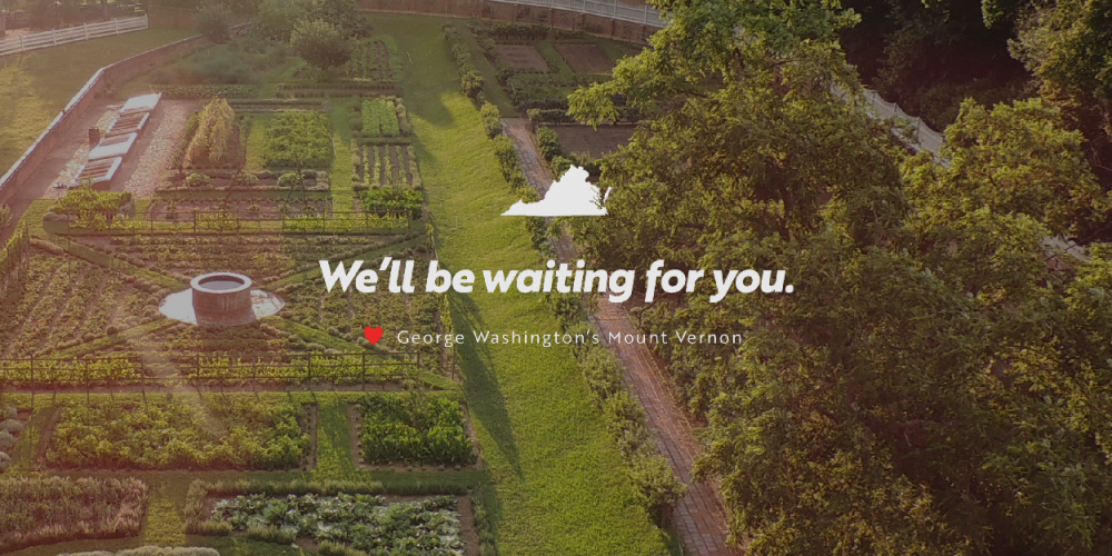 We'll Be Waiting for You